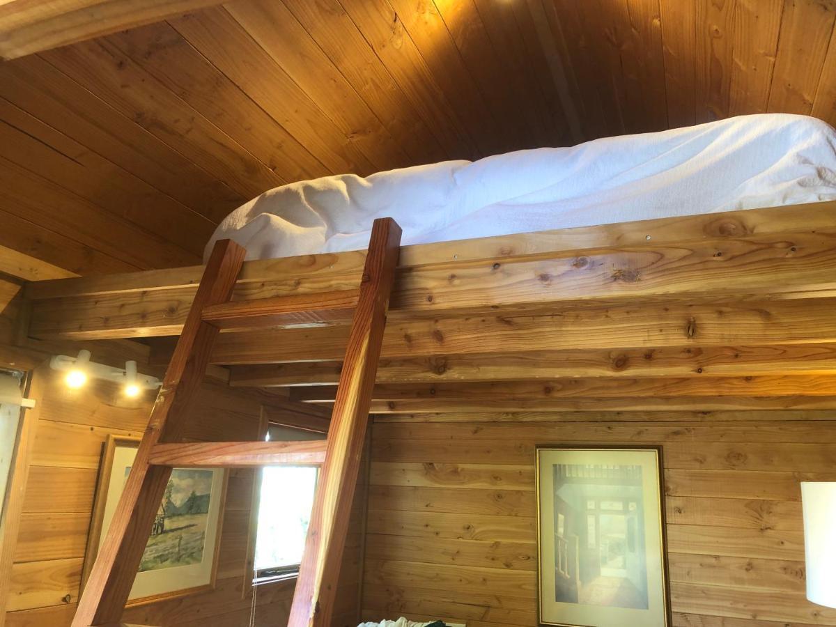 Studio Or Cabin On Whitby Nelson Extérieur photo